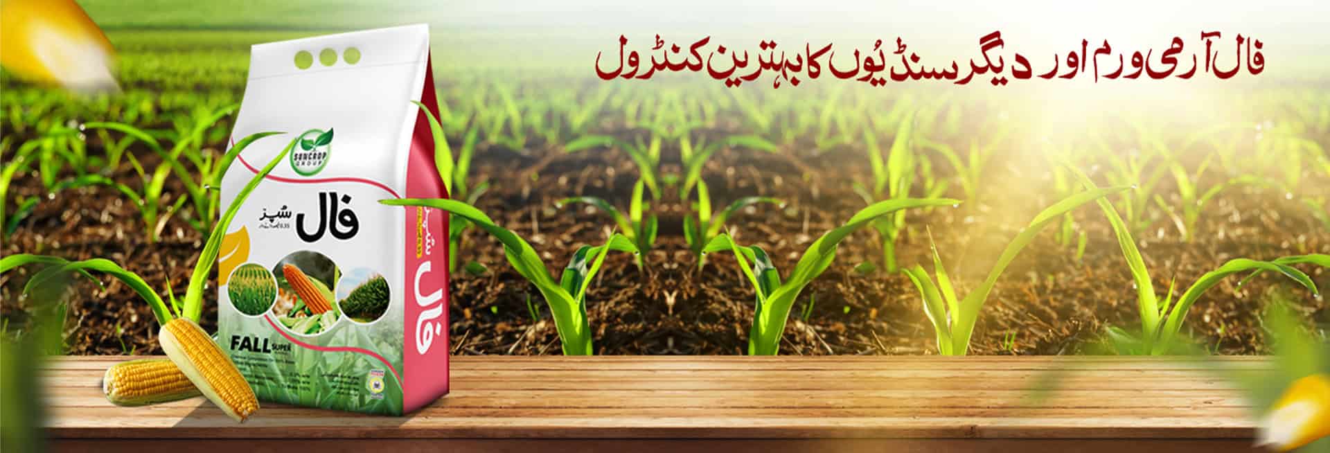 Fall Super-mix.jpg (1)