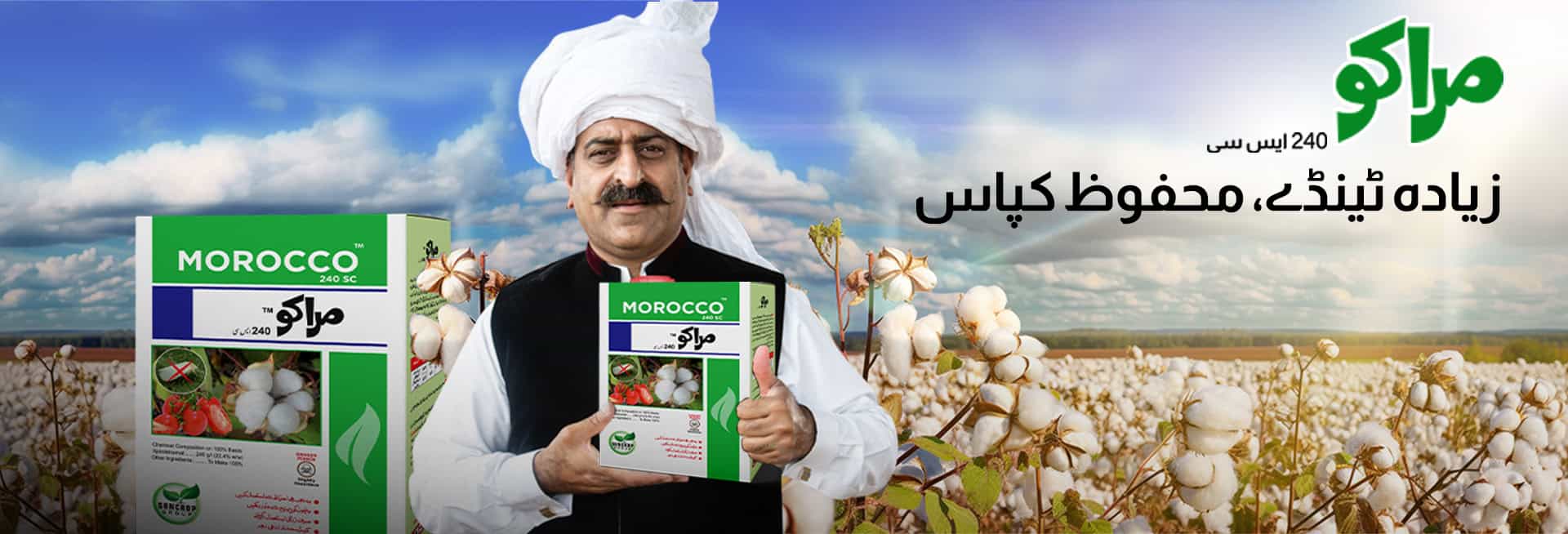 suncrop banner.jpg (1)