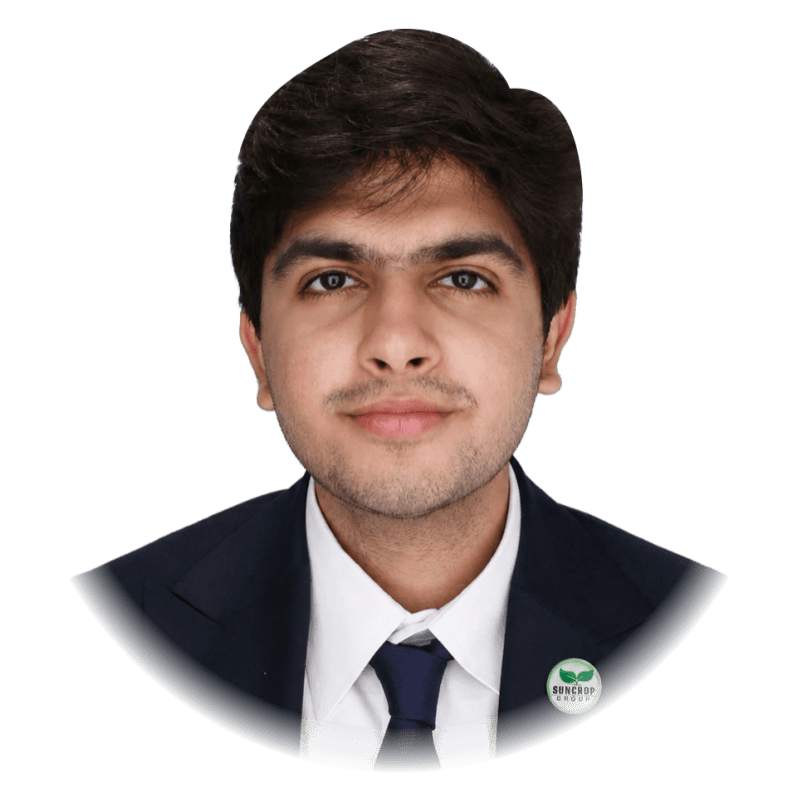 Muhammad Monis Hanif Pitafi